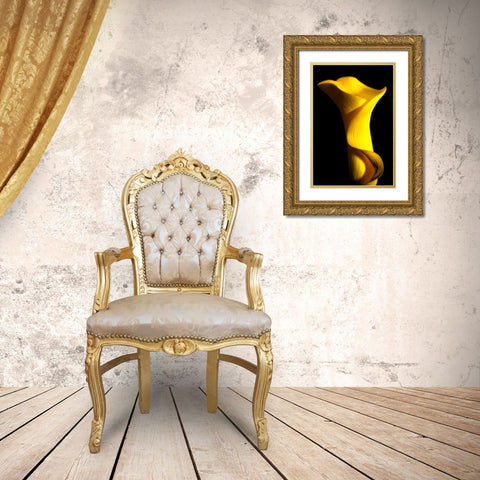 Yellow Lily Gold Ornate Wood Framed Art Print with Double Matting by Putman, Tammy