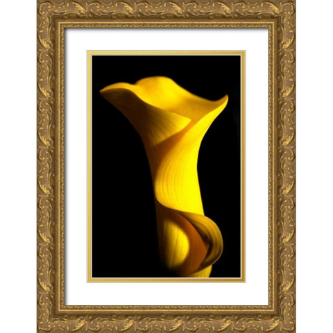 Yellow Lily Gold Ornate Wood Framed Art Print with Double Matting by Putman, Tammy