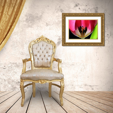 Pink Tulip Gold Ornate Wood Framed Art Print with Double Matting by Putman, Tammy