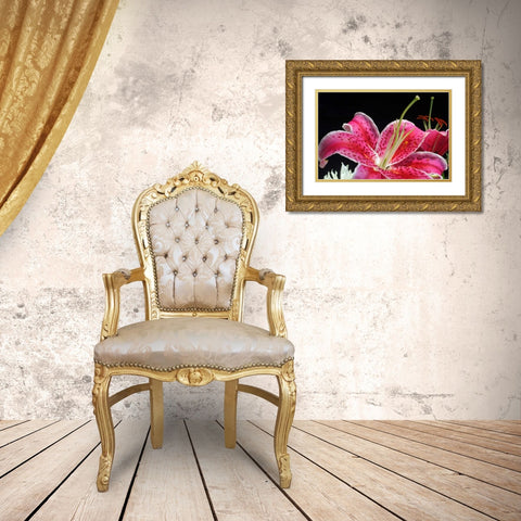 Pink Lily Gold Ornate Wood Framed Art Print with Double Matting by Putman, Tammy