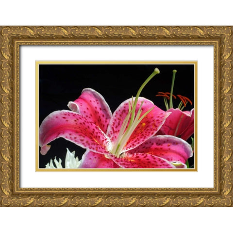 Pink Lily Gold Ornate Wood Framed Art Print with Double Matting by Putman, Tammy