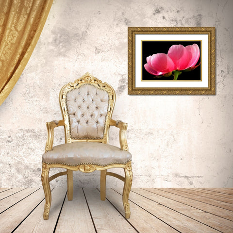 Pink Peony III Gold Ornate Wood Framed Art Print with Double Matting by Putman, Tammy