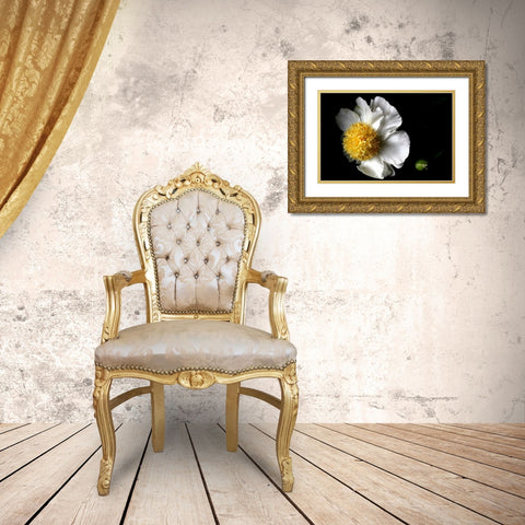 White Peony II Gold Ornate Wood Framed Art Print with Double Matting by Putman, Tammy