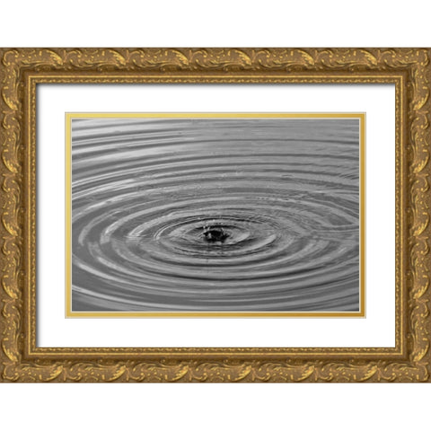 Ripples I Gold Ornate Wood Framed Art Print with Double Matting by Putman, Tammy