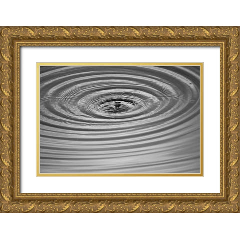 Ripples II Gold Ornate Wood Framed Art Print with Double Matting by Putman, Tammy