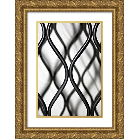 Curves II Gold Ornate Wood Framed Art Print with Double Matting by Putman, Tammy