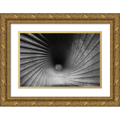 Inside a Howitzer Gold Ornate Wood Framed Art Print with Double Matting by Putman, Tammy