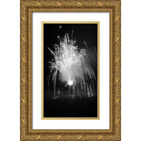 Fireworks I Gold Ornate Wood Framed Art Print with Double Matting by Putman, Tammy