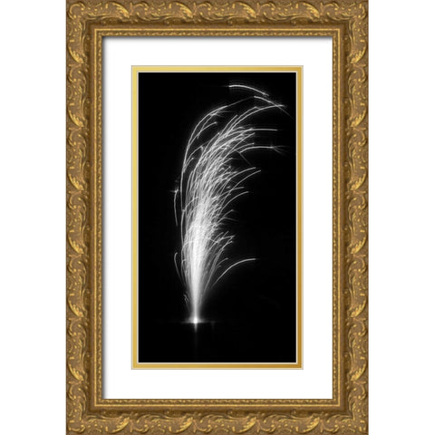Fireworks II Gold Ornate Wood Framed Art Print with Double Matting by Putman, Tammy