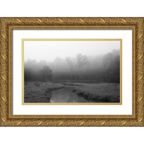 Creek in Fog I Gold Ornate Wood Framed Art Print with Double Matting by Putman, Tammy