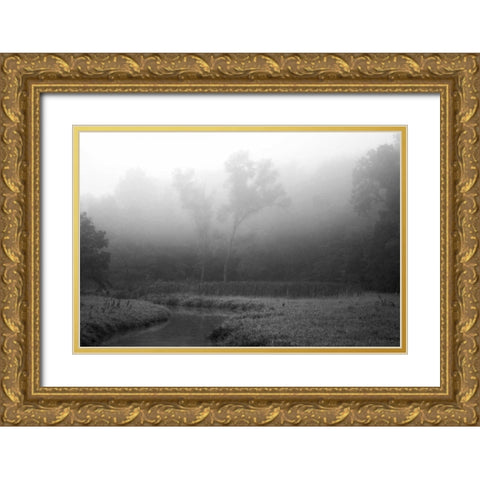 Creek in Fog II Gold Ornate Wood Framed Art Print with Double Matting by Putman, Tammy