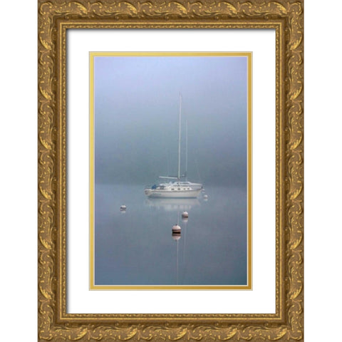 Foggy Morning Gold Ornate Wood Framed Art Print with Double Matting by Putman, Tammy