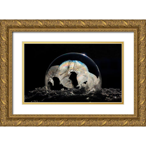 Frozen Bubble Gold Ornate Wood Framed Art Print with Double Matting by Putman, Tammy