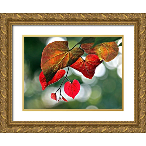 Red Gold Ornate Wood Framed Art Print with Double Matting by Putman, Tammy