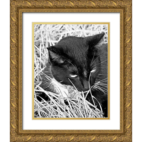 Jinx I Gold Ornate Wood Framed Art Print with Double Matting by Putman, Tammy