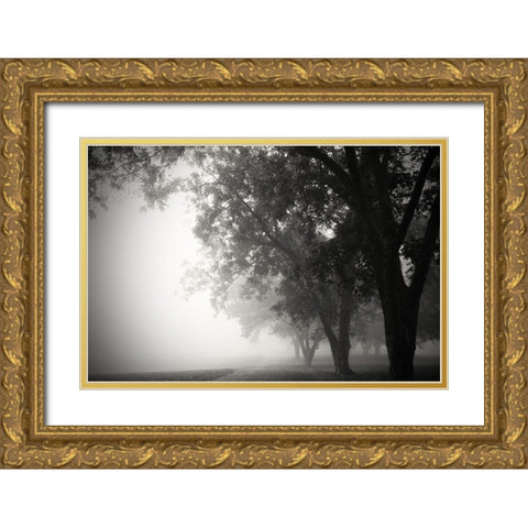 Morning Walk Gold Ornate Wood Framed Art Print with Double Matting by Putman, Tammy