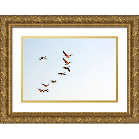 Flock Gold Ornate Wood Framed Art Print with Double Matting by Putman, Tammy
