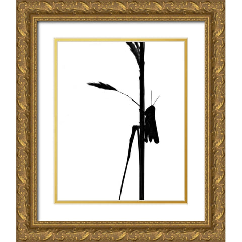 Grasshopper Gold Ornate Wood Framed Art Print with Double Matting by Putman, Tammy
