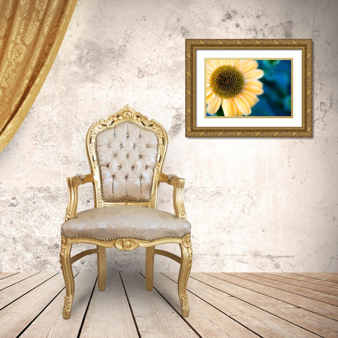 Cone Flowers I Gold Ornate Wood Framed Art Print with Double Matting by Putman, Tammy