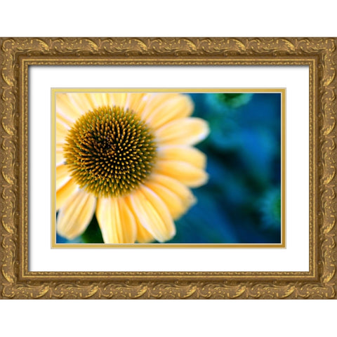 Cone Flowers I Gold Ornate Wood Framed Art Print with Double Matting by Putman, Tammy