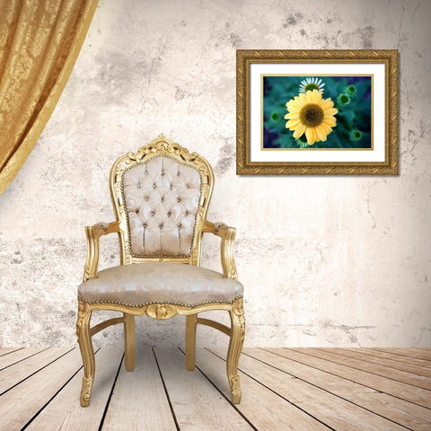 Cone Flowers II Gold Ornate Wood Framed Art Print with Double Matting by Putman, Tammy