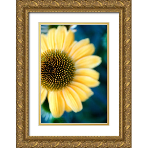 Cone Flowers III Gold Ornate Wood Framed Art Print with Double Matting by Putman, Tammy