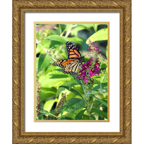 Monarch Garden I Gold Ornate Wood Framed Art Print with Double Matting by Putman, Tammy