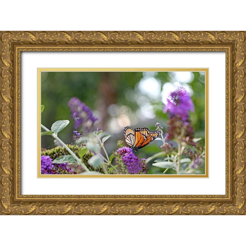 Monarch Garden III Gold Ornate Wood Framed Art Print with Double Matting by Putman, Tammy