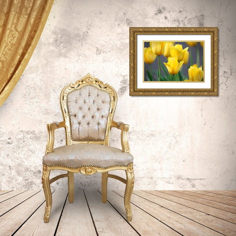 Yellow Tulips Gold Ornate Wood Framed Art Print with Double Matting by Putman, Tammy