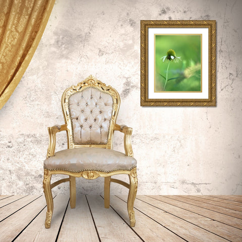 White Cones I Gold Ornate Wood Framed Art Print with Double Matting by Putman, Tammy