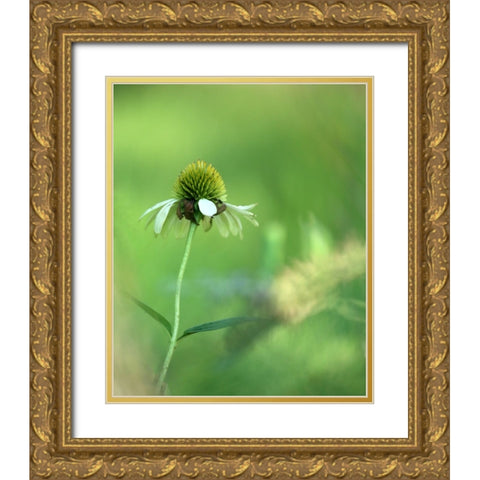 White Cones I Gold Ornate Wood Framed Art Print with Double Matting by Putman, Tammy