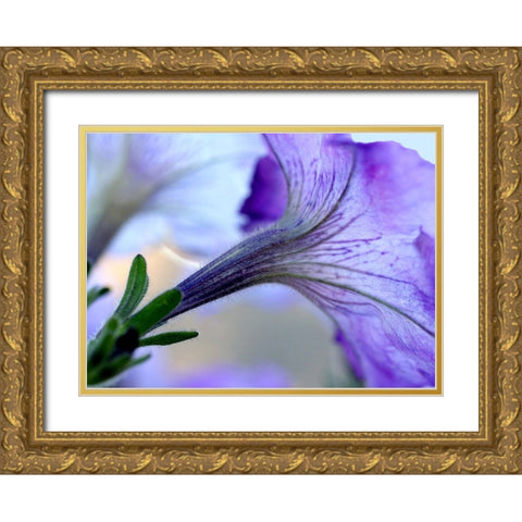 Purple Light Gold Ornate Wood Framed Art Print with Double Matting by Putman, Tammy