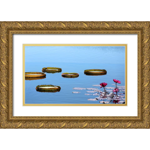 Lily Pads Gold Ornate Wood Framed Art Print with Double Matting by Putman, Tammy