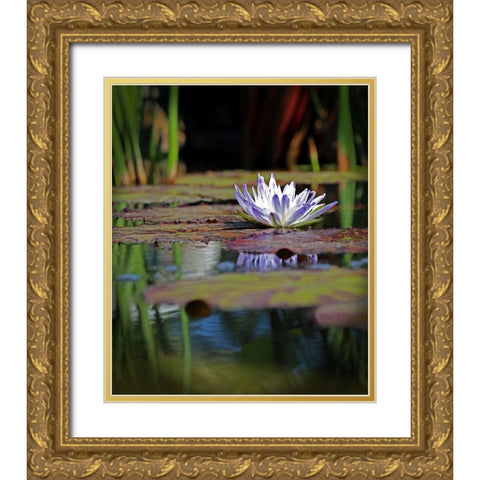 Purple Lily Gold Ornate Wood Framed Art Print with Double Matting by Putman, Tammy