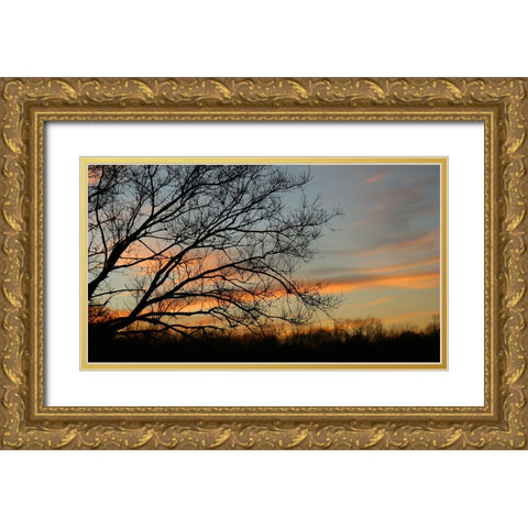 Dusk Silhouette I Gold Ornate Wood Framed Art Print with Double Matting by Putman, Tammy