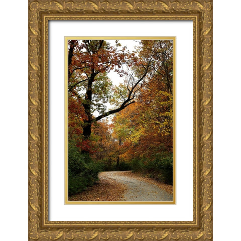 Autumn Drive Gold Ornate Wood Framed Art Print with Double Matting by Putman, Tammy