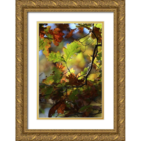 Green Andamp; Copper Gold Ornate Wood Framed Art Print with Double Matting by Putman, Tammy