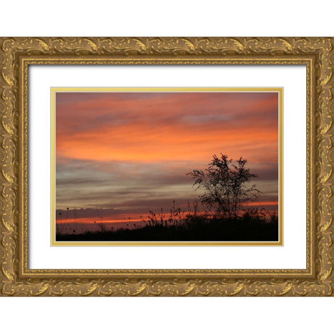 Peaceful Sunset Gold Ornate Wood Framed Art Print with Double Matting by Putman, Tammy
