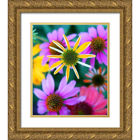Colorful Bouquet II Gold Ornate Wood Framed Art Print with Double Matting by Putman, Tammy