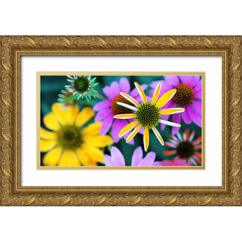 Colorful Bouquet III Gold Ornate Wood Framed Art Print with Double Matting by Putman, Tammy