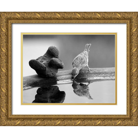Finch II Gold Ornate Wood Framed Art Print with Double Matting by Putman, Tammy