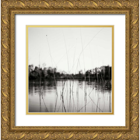 Water Grass Gold Ornate Wood Framed Art Print with Double Matting by Stefko, Bob