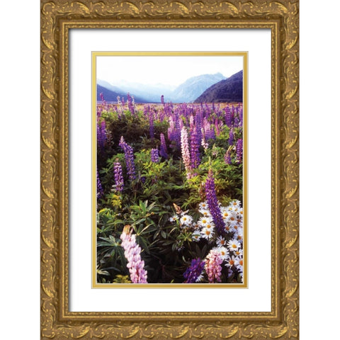 Russell Lupin I Gold Ornate Wood Framed Art Print with Double Matting by Stefko, Bob