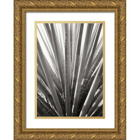 Torrey Yucca Gold Ornate Wood Framed Art Print with Double Matting by Stefko, Bob