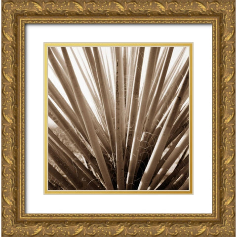 Desert Plants IV Gold Ornate Wood Framed Art Print with Double Matting by Stefko, Bob