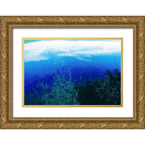 At Waters Edge II Gold Ornate Wood Framed Art Print with Double Matting by Stefko, Bob