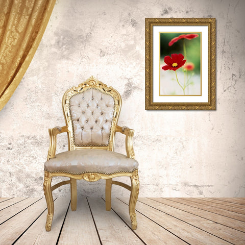 Red Cosmos II Gold Ornate Wood Framed Art Print with Double Matting by Stefko, Bob