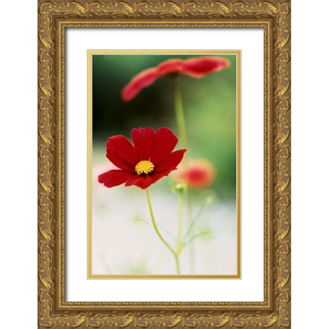 Red Cosmos II Gold Ornate Wood Framed Art Print with Double Matting by Stefko, Bob