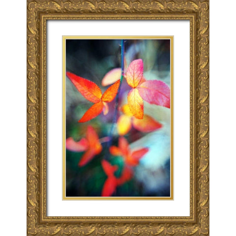 Fall Leaves II Gold Ornate Wood Framed Art Print with Double Matting by Stefko, Bob