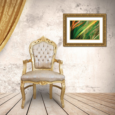 Grass in Fall I Gold Ornate Wood Framed Art Print with Double Matting by Stefko, Bob